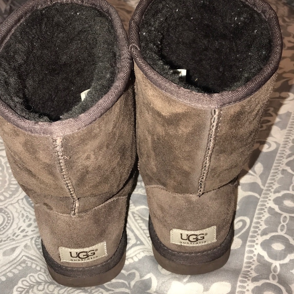 Brown Uggs